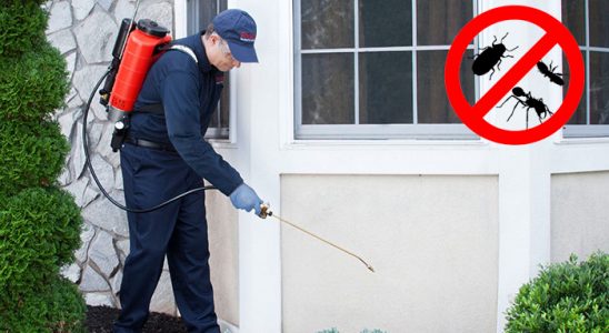 Gültepe Bit İlaçlama böcek ilaçlama ve haşere kontrolü — ilaclama-tr.com
